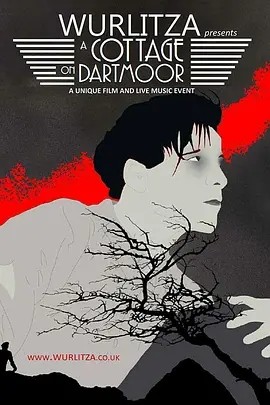 达特穆尔的小屋 (1929)丨8.0分丨英国影史百佳电影之一 无对白中字 标题图