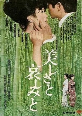 美丽与哀伤 (1965)丨7.1分丨筱田正浩/渡边美佐子作品 改编自川端康成原著 日语中字 标题图