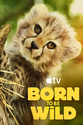 生而狂野 Born To Be Wild 标题图