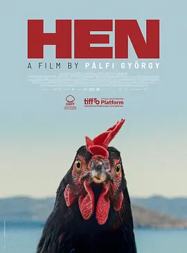 母鸡 (2025) 丨雅尼斯·科基亚斯梅诺斯 / 玛丽亚·迪亚科帕纳约图主演丨剧情 / 家庭丨德国电影丨[多伦多]站台奖 提名 标题图