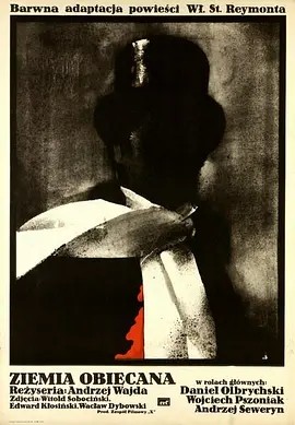 福地 (1975)丨8.2分丨奥斯卡最佳外语片提名 安杰伊·瓦伊达作品 波兰语中字 标题图