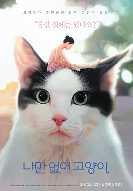 只有我没有猫 (2019)丨6.9分丨冷门奇幻电影推荐 标题图
