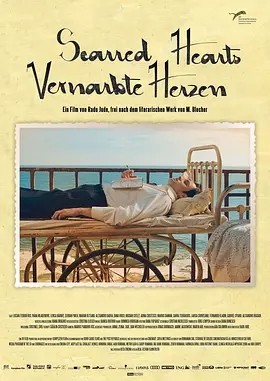 心痕如诗 (2016)丨7.5分丨洛迦诺电影节金豹奖提名 拉杜·裘德导演作品 罗马尼亚语中字 标题图