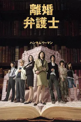《离婚女律师》天海祐希主演高分剧集 全2季丨8.3分 标题图