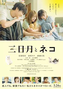 三日月与猫 (2024)丨6.5分丨安达佑实/仓科加奈/渡边圭祐主演 冷门治愈电影推荐 日语中字 标题图