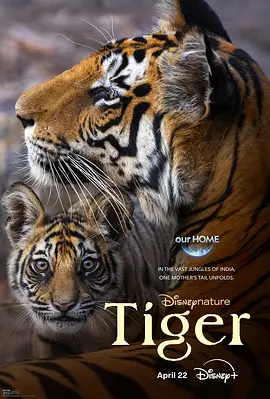 老虎 Tiger (2024)丨8.3分丨冷门高分纪录片推荐 标题图
