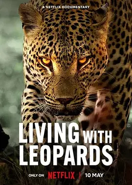 幼豹成长记 Living with Leopards 标题图