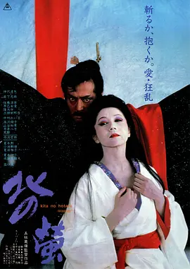 北之萤 (1984)丨7.0分丨仲代达矢/岩下志麻主演 五社英雄导演作品 标题图