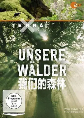 我们的森林 (2017)丨9.2分丨冷门高分纪录剧集推荐 全3集 标题图