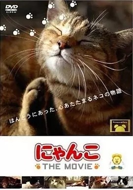 《猫咪物语》高分治愈纪录片推荐 全5部丨9.0分 标题图
