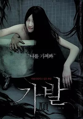 假发 가발 (2005)丨6.1分丨热门恐怖电影推荐 韩语中字 标题图