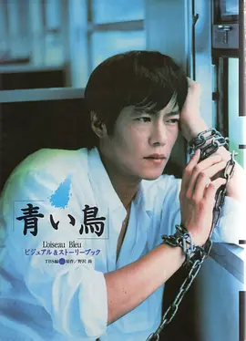 青鸟 (1997)丨8.5分丨丰川悦司/夏川结衣主演 全11集 标题图